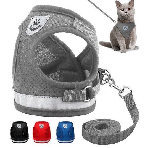 Comfortable Mesh Pet Harness - Happy Walks, No Choking, Pure Comfort!