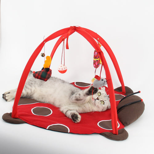 Comfy Cat Play Bed - Cozy Sweet Dreams and Fun Games Combined!