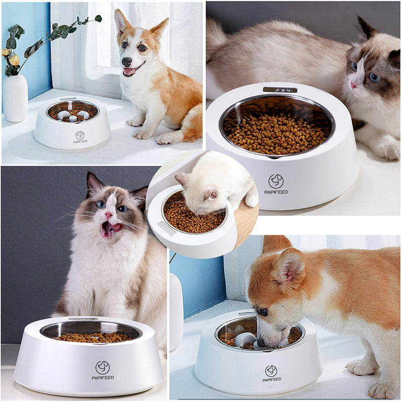 Smart Slow Feeder Bowl - Healthy Eating Habits, Perfect Portions Always!