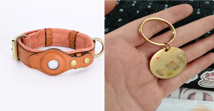 Smart Pet Collar - Never Lose Your Furry Friend Again!